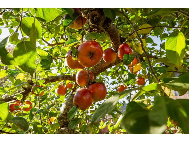 a living room with table chairs and a potted plant