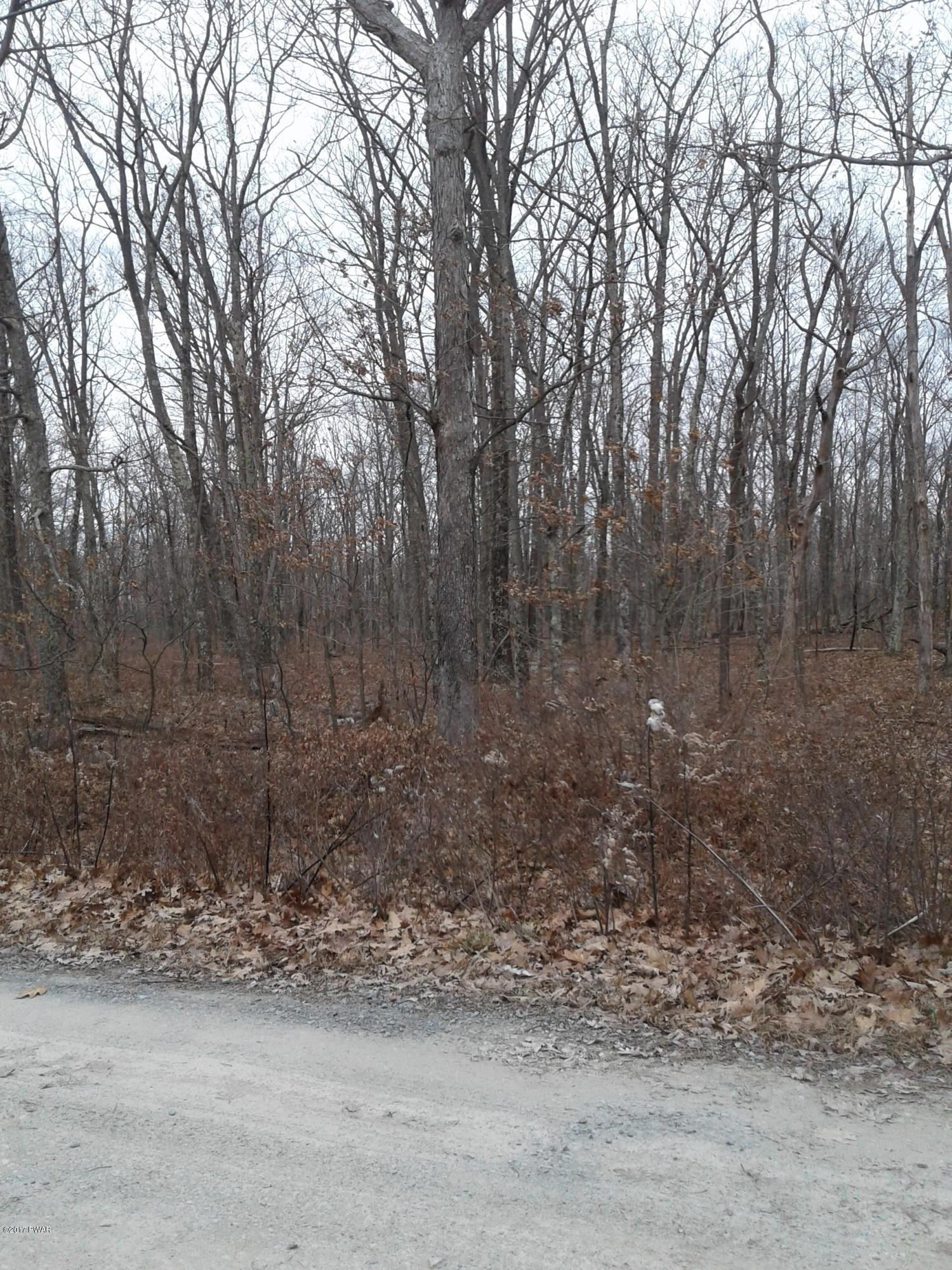 11 Bloss Road Canadensis, PA 18325 - Photo 1 of 6