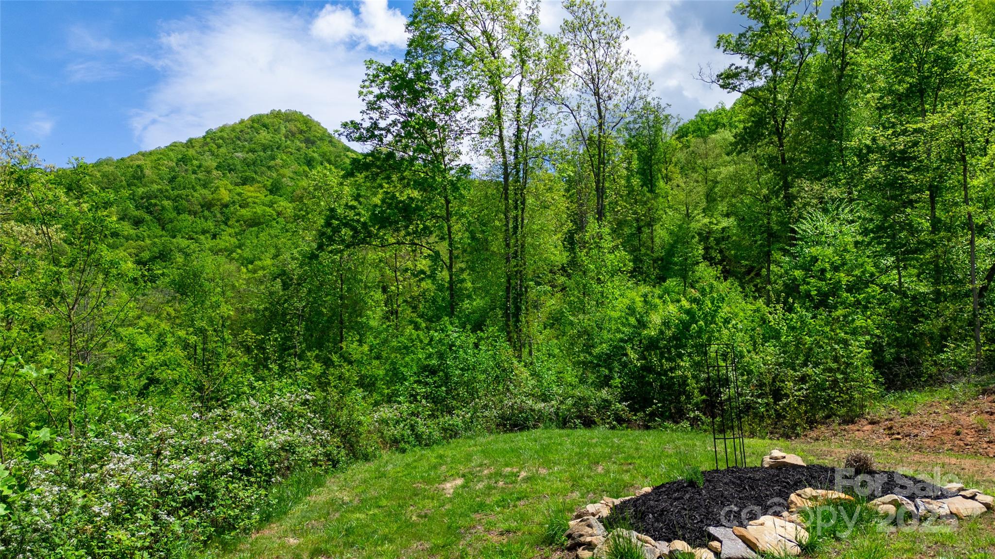 720 Cedar Creek Farm Road Tuckasegee, NC 28783 - Photo 7 of 19 a view of a yard with plants and a bench