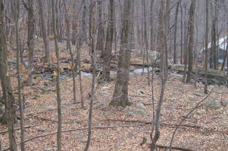 671 Edinburgh Road Bushkill, PA 18324 - Photo 9 of 9 Wooded Lot