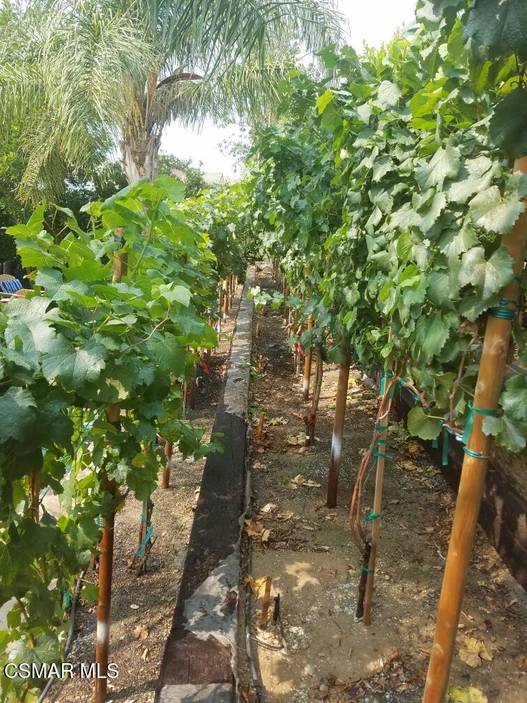 5019 Corral Street Simi Valley, CA 93063 - Photo 47 of 50 a backyard of a house with lots of green space