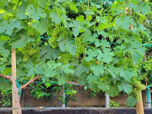 $1,350,000 | 5019 Corral Street, Simi Valley, CA 93063