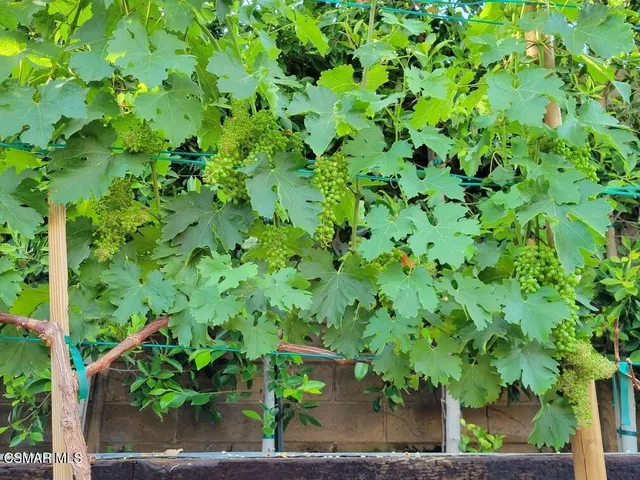 $1,385,000 | 5019 Corral Street, Simi Valley, CA 93063