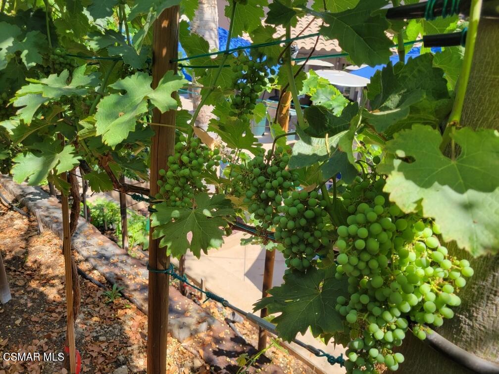 5019 Corral Street Simi Valley, CA 93063 - Photo 49 of 50