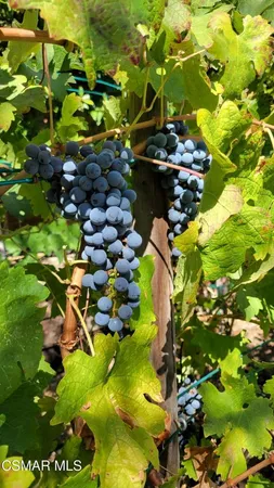 $1,350,000 | 5019 Corral Street, Simi Valley, CA 93063