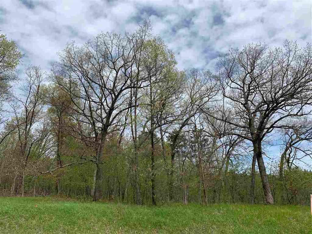 Lot 2 County Rd V Amherst, WI 54406 - Photo 1 of 1