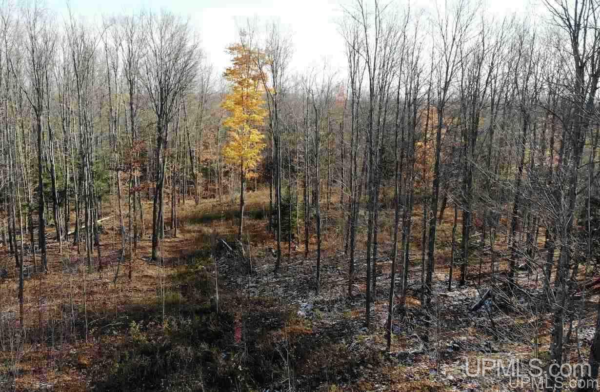 Tbd Townline Road Lanse, MI 49946 - Photo 11 of 22 Gallery Image 11