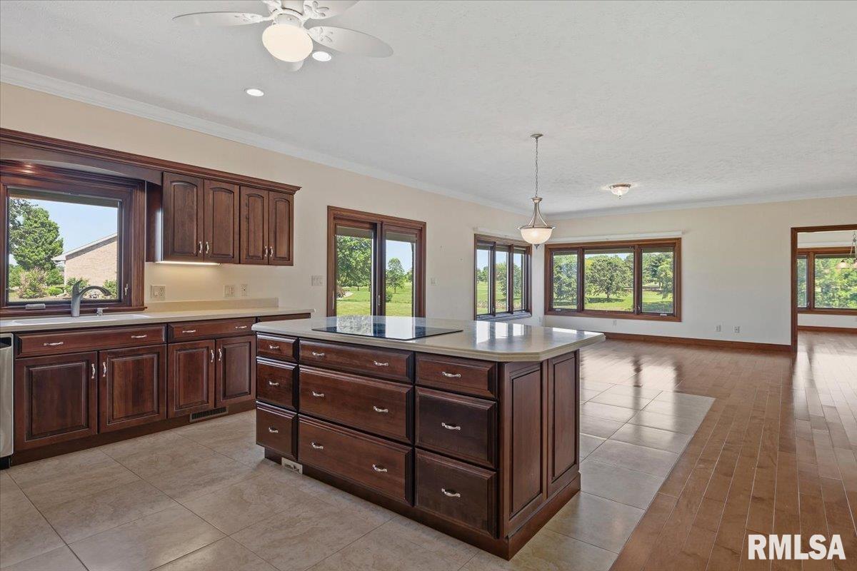 1582 West Autumn Ridge Road Sherman, IL 62707 - Photo 14 of 52