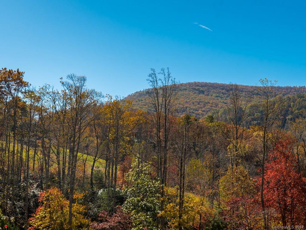 598 Morgan Hill Road Fairview, NC 28730 - Photo 2 of 24 Gallery Image 2