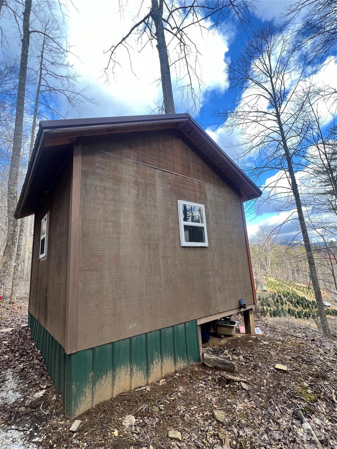 45 Atlantic Tower Road Bakersville, NC 28705 - Photo 11 of 19 Gallery Image 11