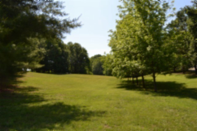 318 Rock Springs Road Celina, TN 38551 - Photo 63 of 87
