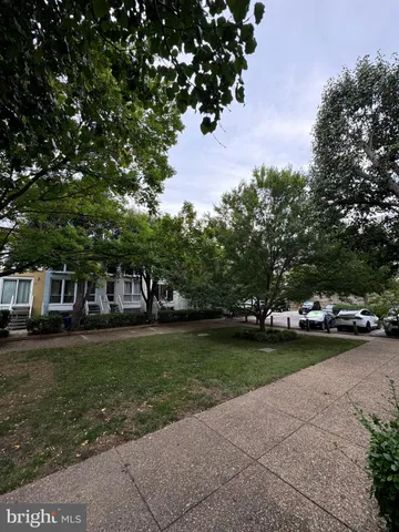 a view of a park with large trees