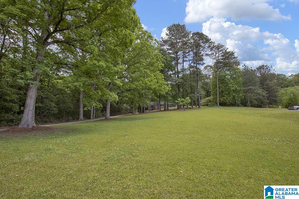 317 North Pine Hill Road Birmingham, AL 35217 - Photo 31 of 35