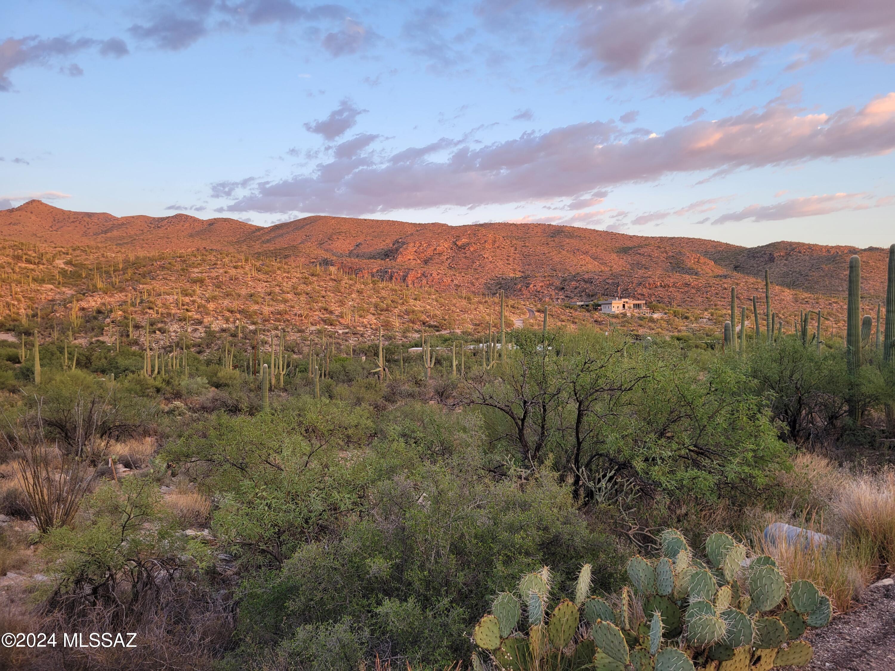 Tbd North Wentworth Road Tucson, AZ 85749 - Photo 10 of 18 Gallery Image 10