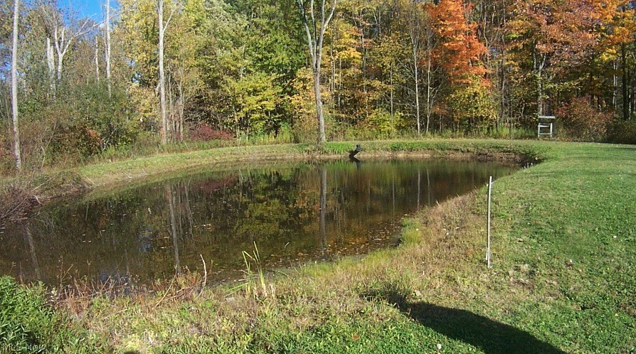 4901 Weaver Road Berlin Center, OH 44401 - Photo 9 of 34 Pond