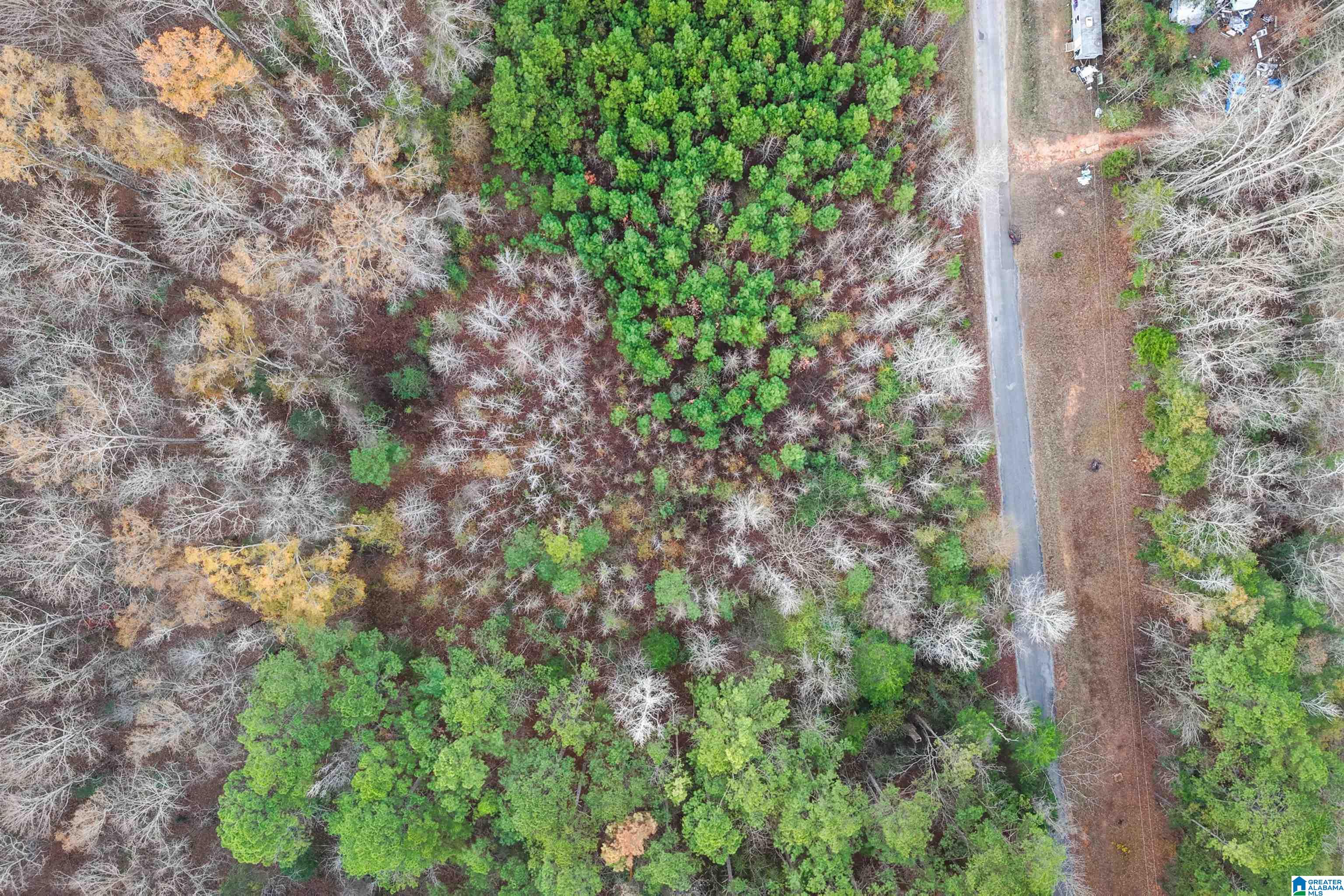 1830 Pine Tree Road Centreville, AL 35042 - Photo 5 of 11