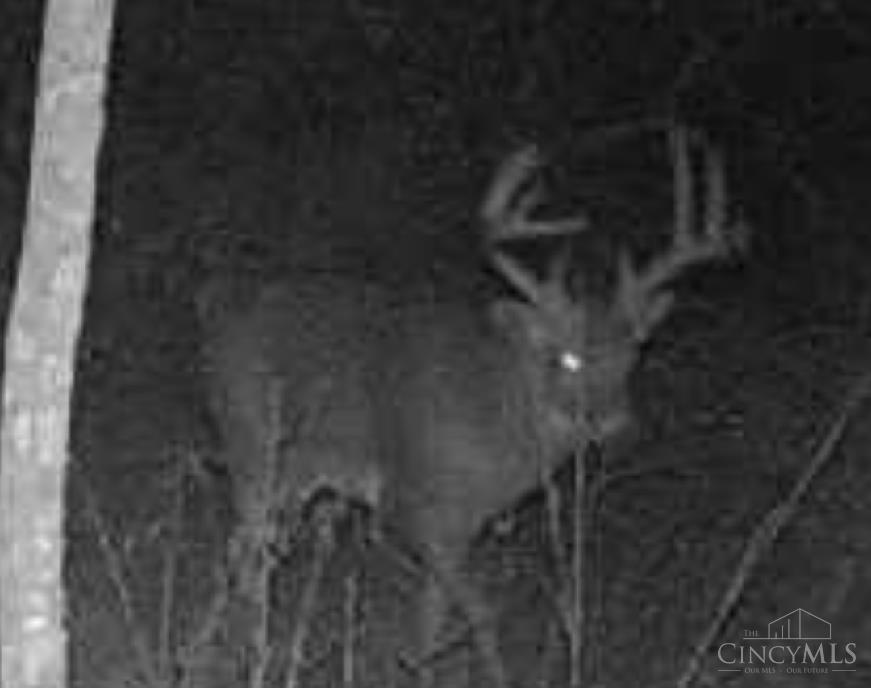 325 Old State Road Manchester, OH 45144 - Photo 22 of 27
