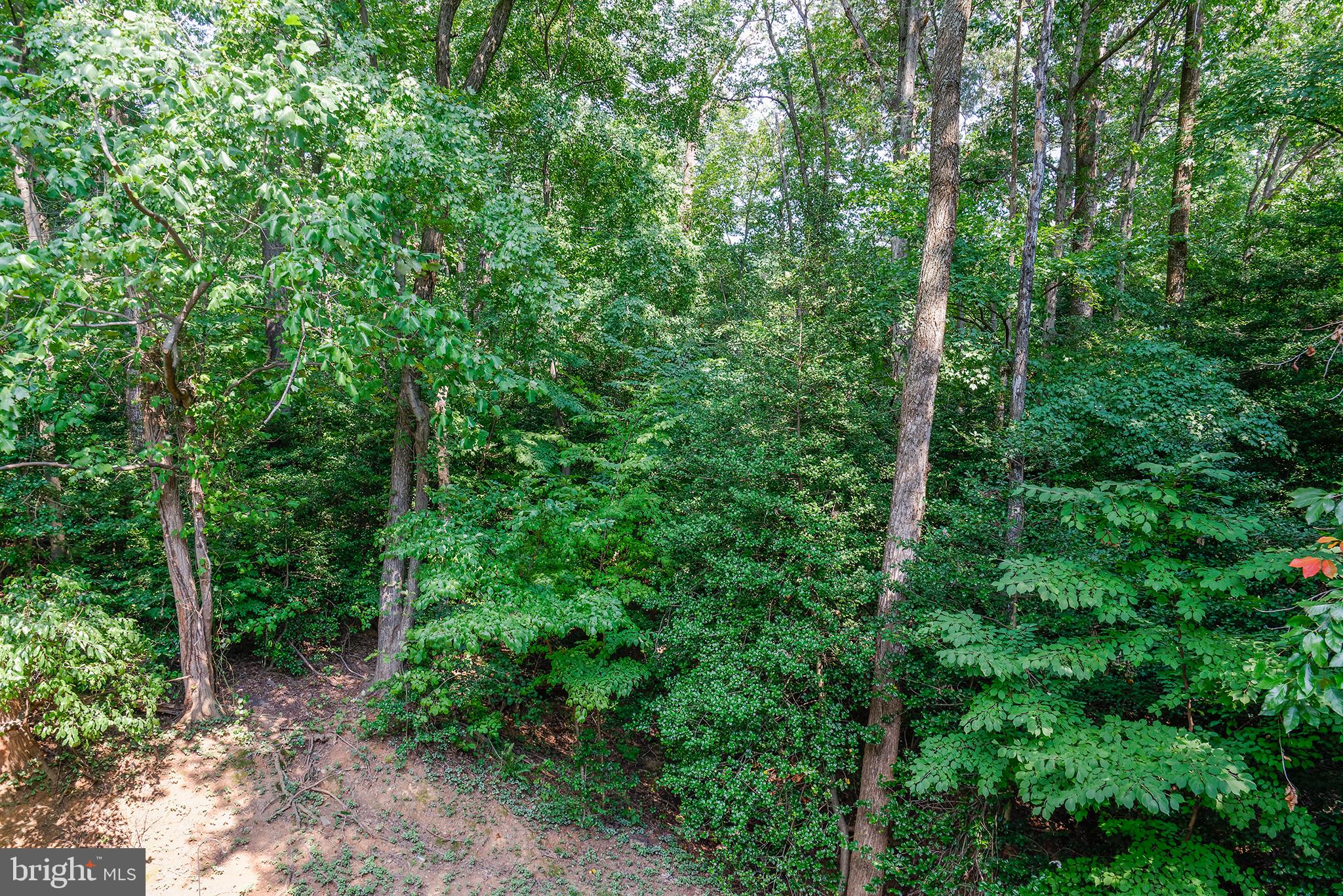 2217 Lovedale Lane, Unit J Reston, VA 20191 - Photo 27 of 33 Rear view