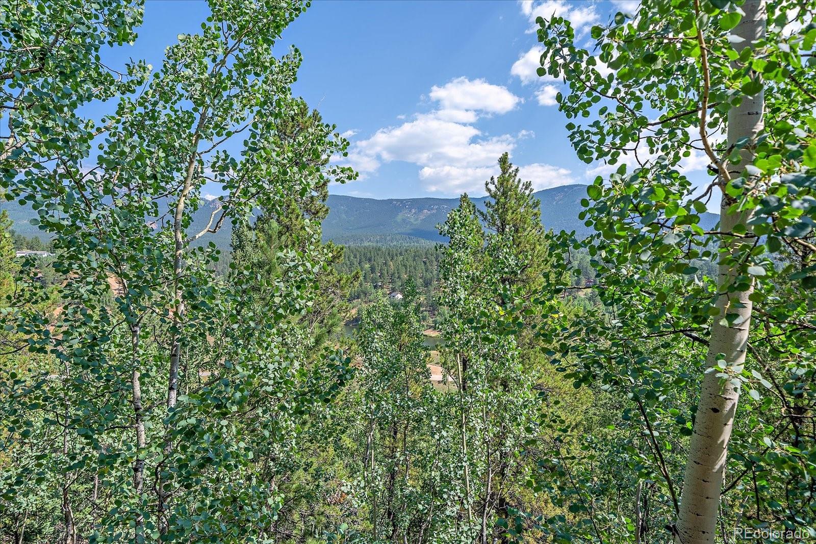 153 Wise Road Bailey, CO 80421 - Photo 28 of 38 an aerial view of a house with a yard and covered with trees