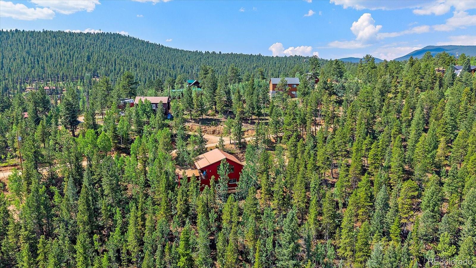 153 Wise Road Bailey, CO 80421 - Photo 33 of 38 a view of a lush green forest with a house in the background