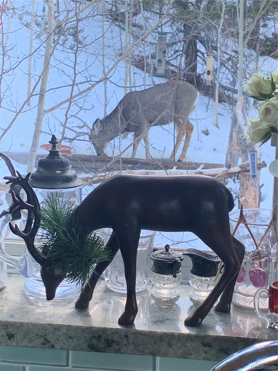 153 Wise Road Bailey, CO 80421 - Photo 35 of 38 a view of sitting area with furniture