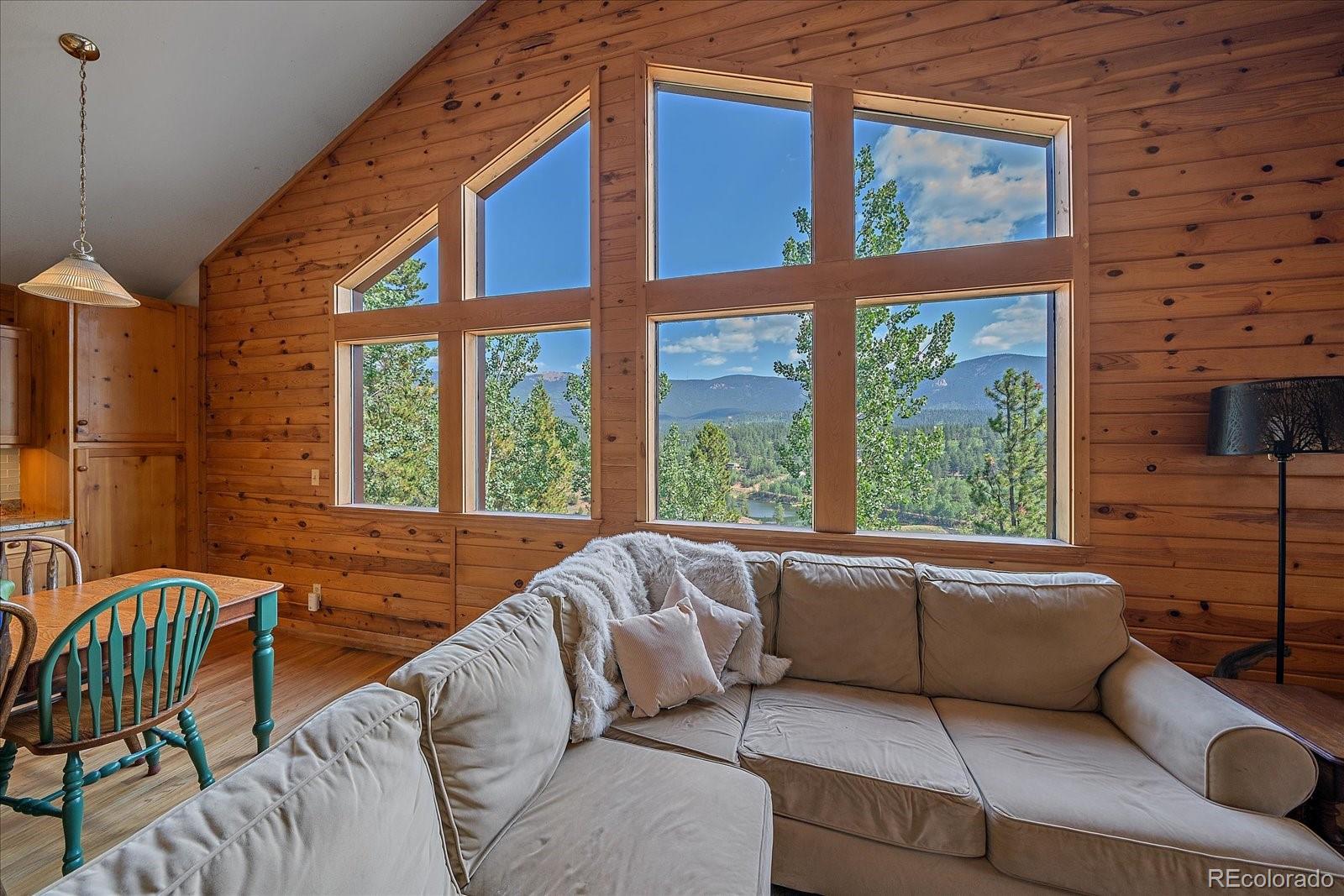 153 Wise Road Bailey, CO 80421 - Photo 9 of 38 a living room with furniture and a window