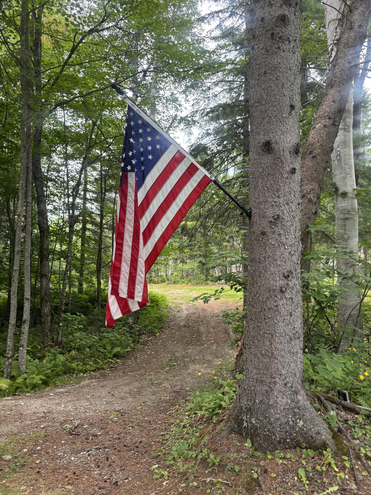 64 Ip Road Stratton, ME 04982 - Photo 32 of 56