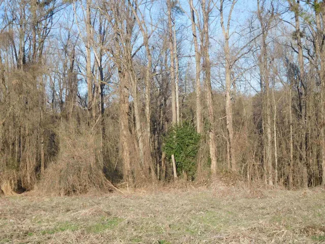 $500,000 | 0 Stuard Street, Gaffney, SC 29341