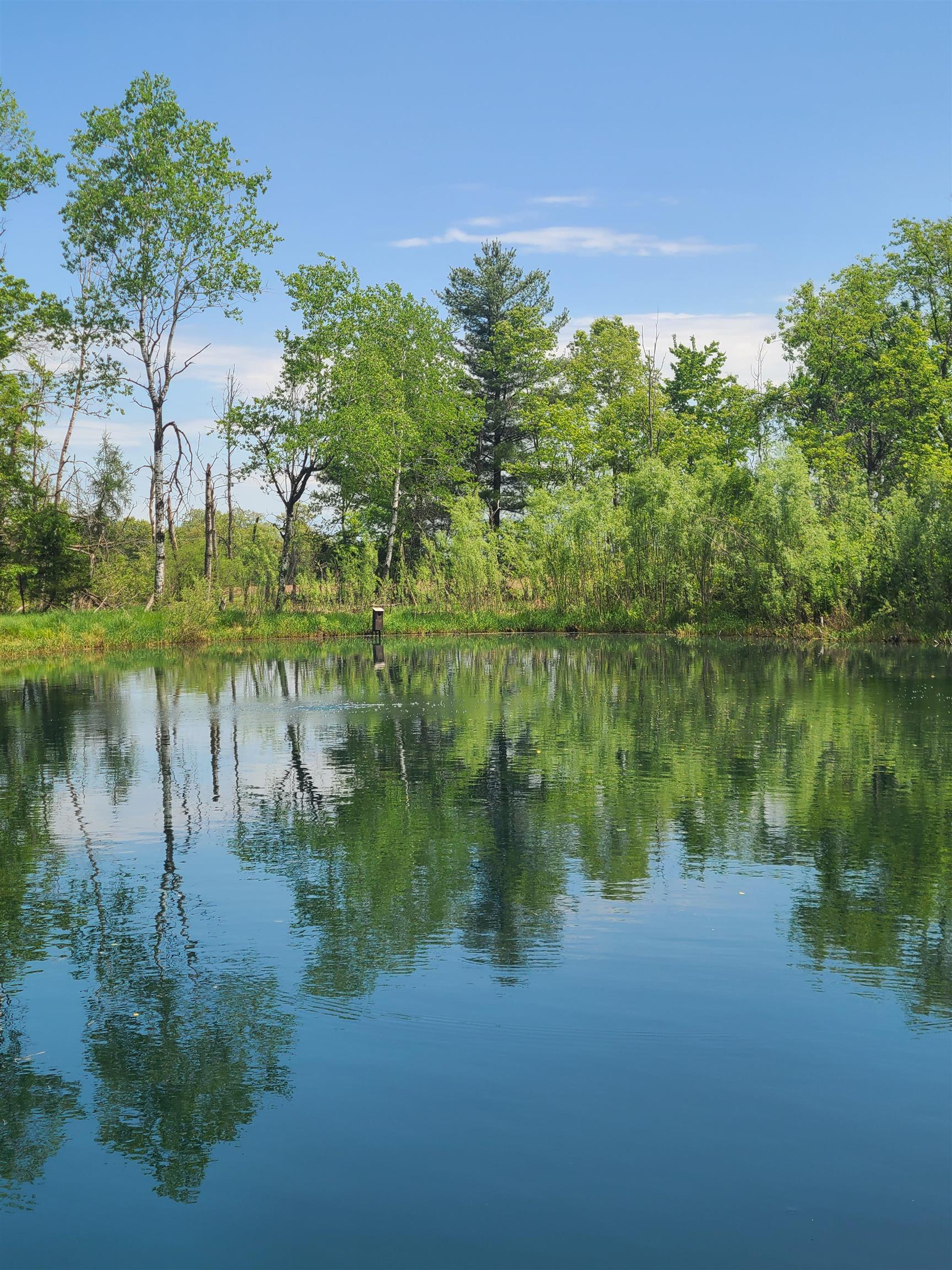 County Road East Neshkoro, WI 54960 - Photo 2 of 10