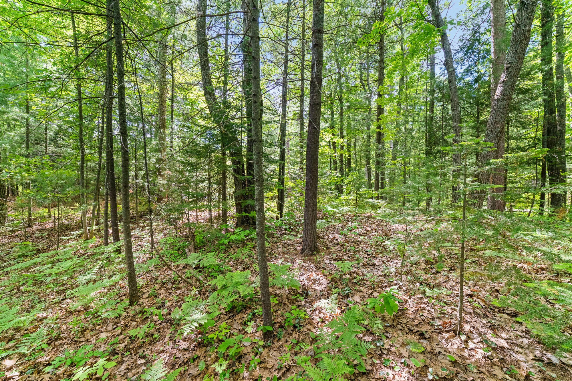 1150 Minford Road Cheboygan, MI 49721 - Photo 7 of 26 Gallery Image 7