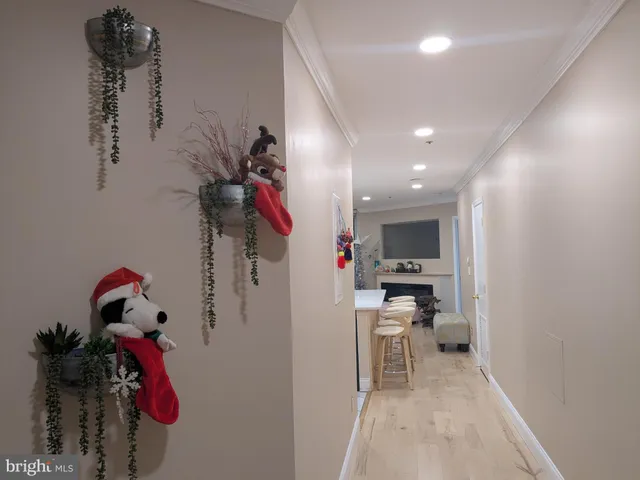 a view of a hallway with closet and a potted plant