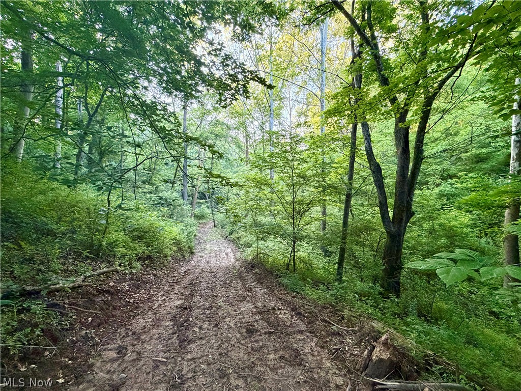 Sykes Ridge Road Clarington, OH 43915 - Photo 11 of 42