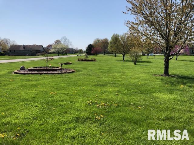 315 Bristol Road Chatham, IL 62629 - Photo 54 of 56 Gallery Image 54