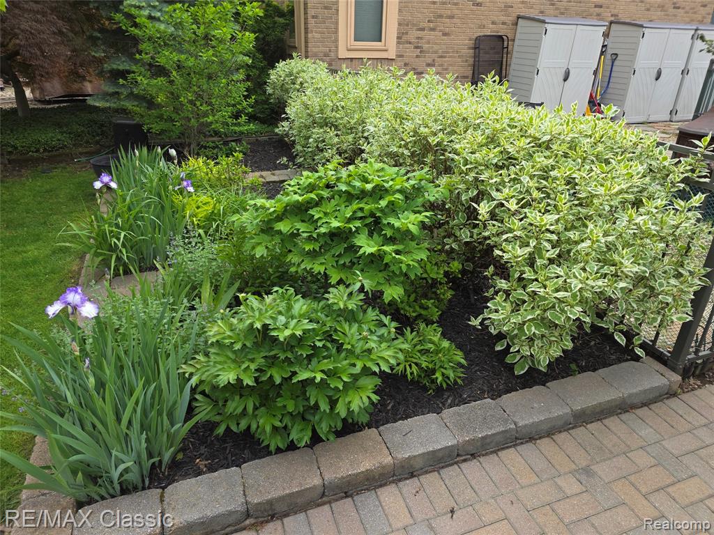 1101 Tienken Court, Unit 206 Rochester Hills, MI 48306 - Photo 21 of 24