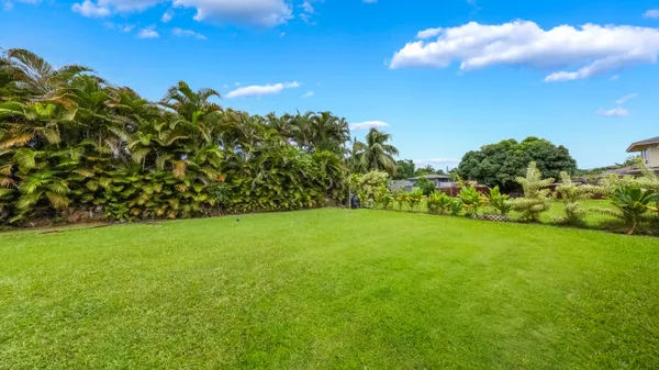 a view of a big yard