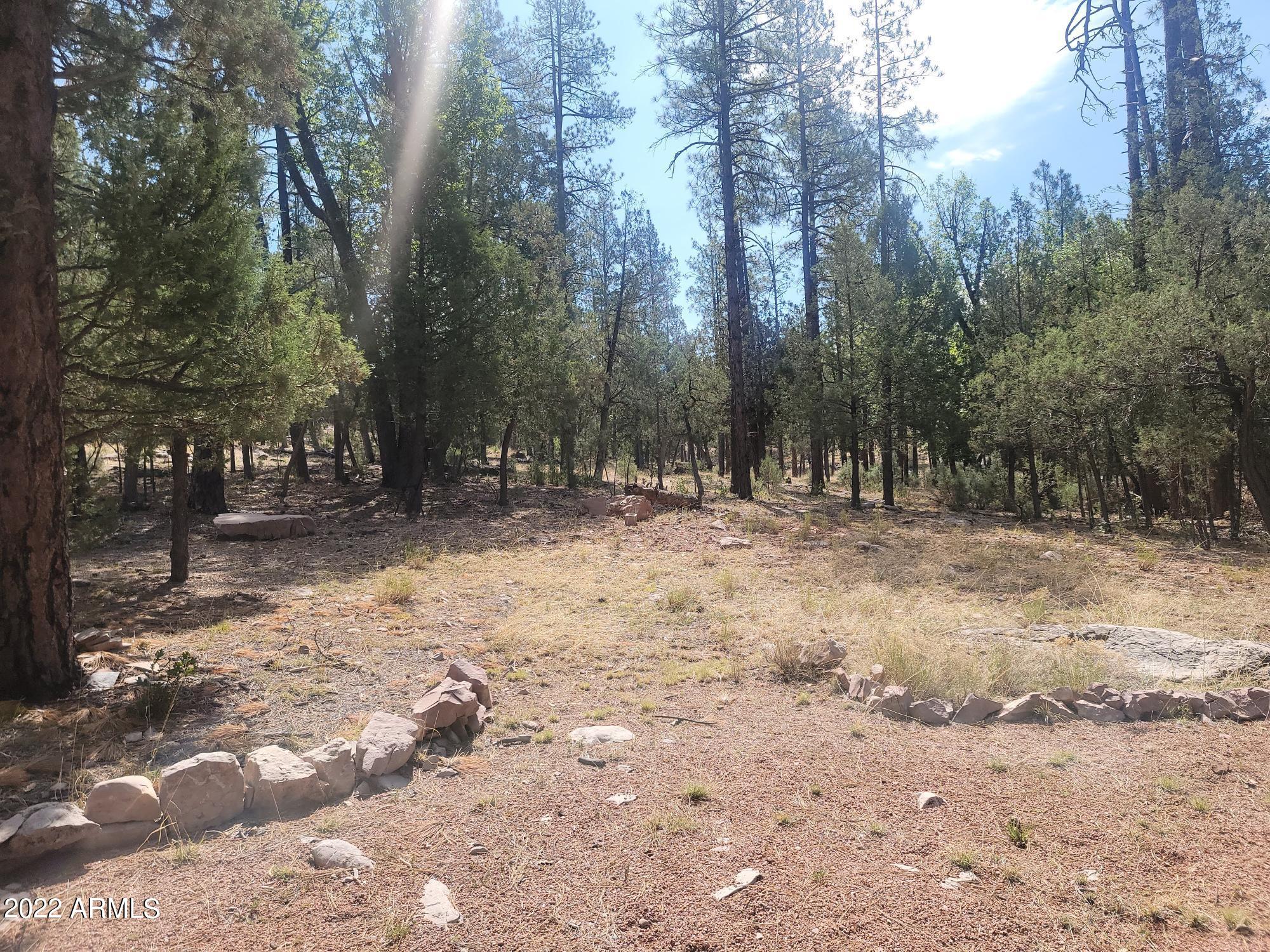 391 West Diamond Road Payson, AZ 85541 - Photo 30 of 33 a view of dirt yard with trees
