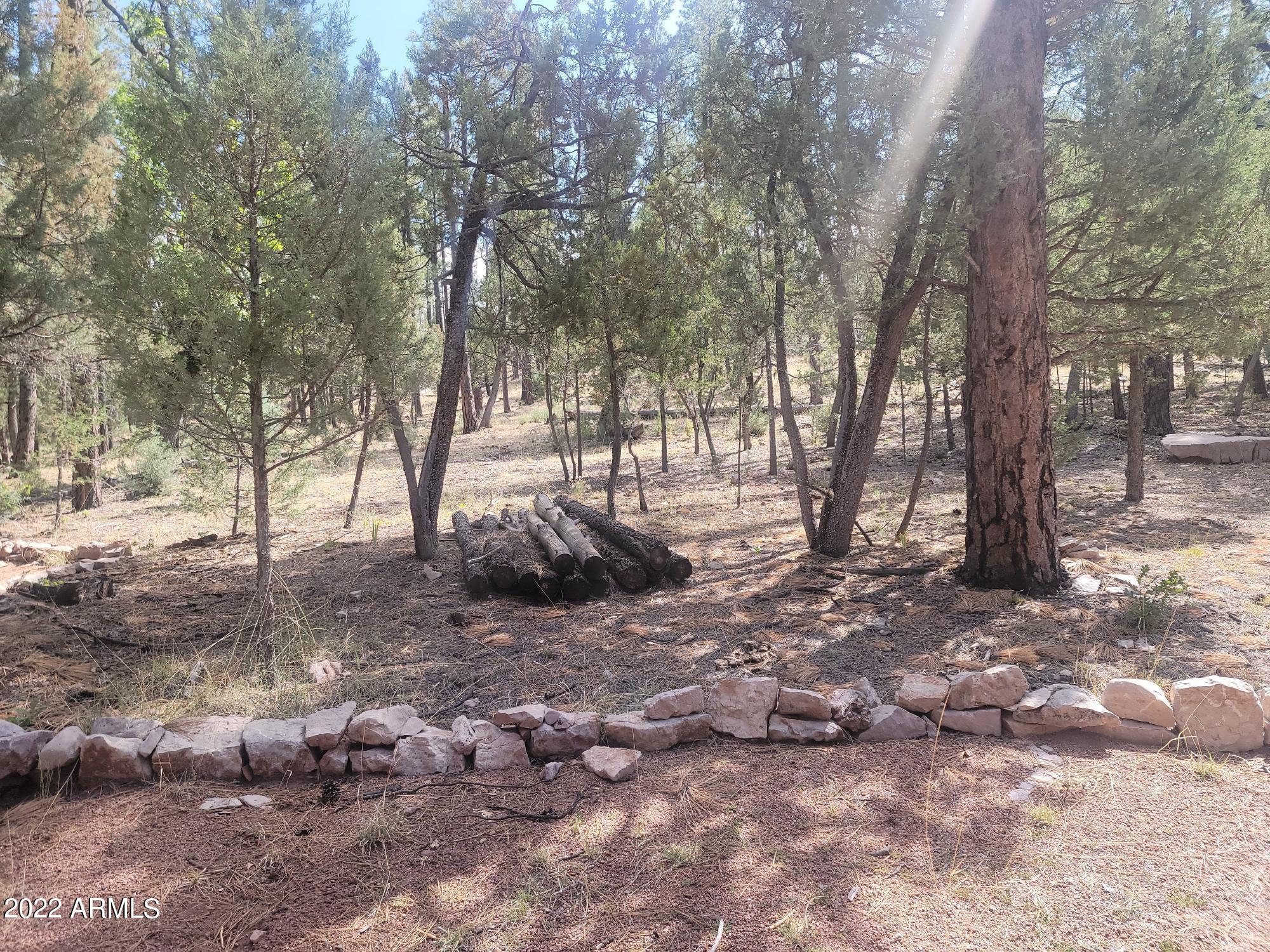 391 West Diamond Road Payson, AZ 85541 - Photo 31 of 33 a view of a yard with a tree