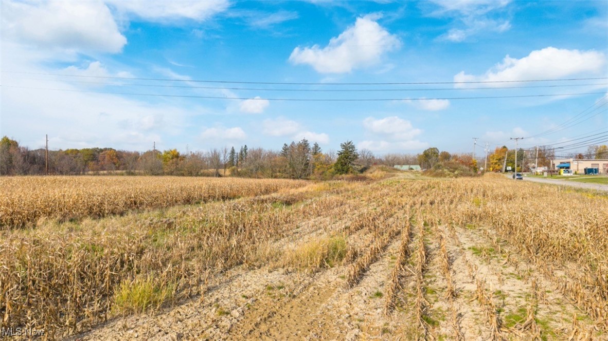 3652 Pearl Road Medina, OH 44256 - Photo 14 of 38 View of local wilderness featuring a rural view