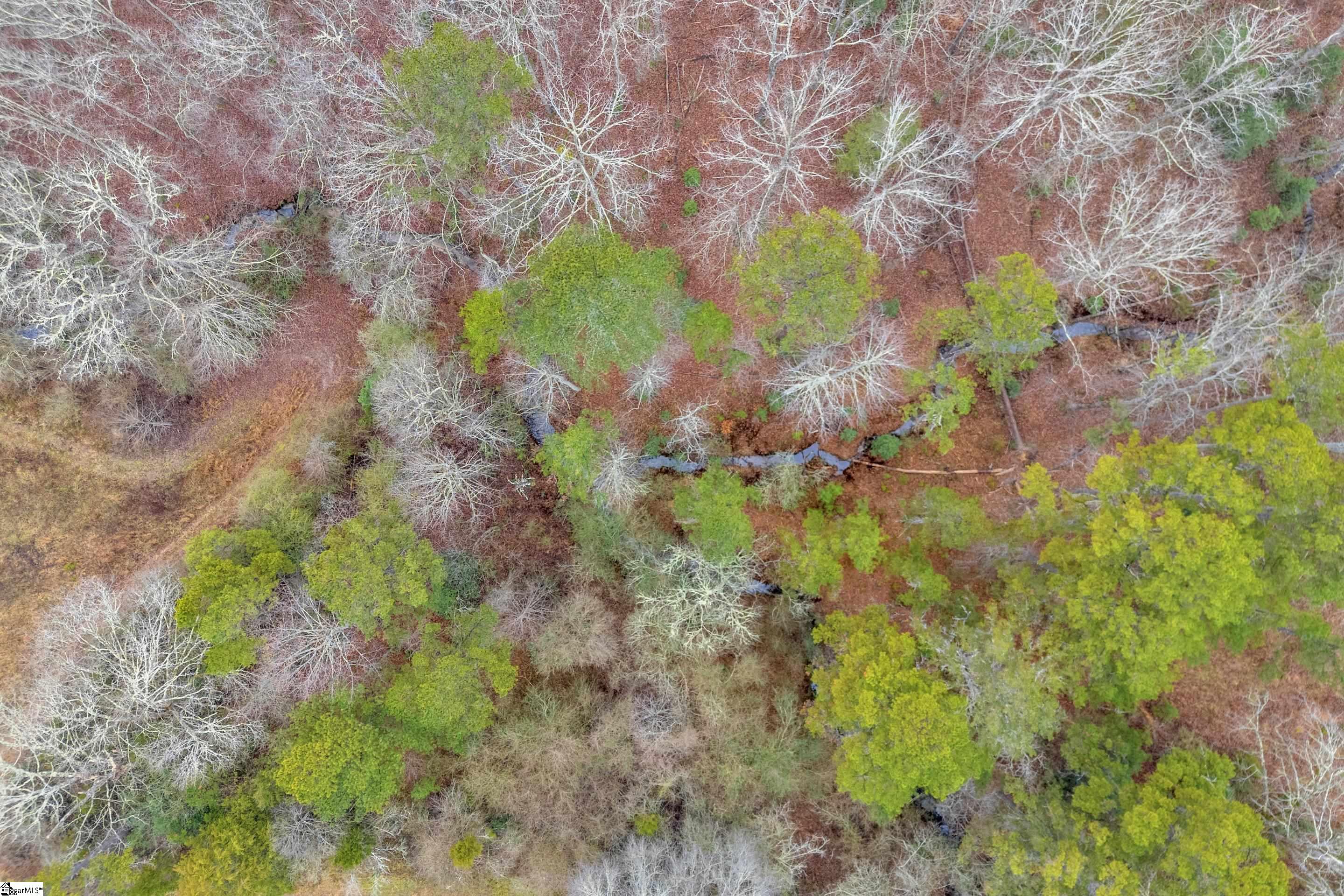 665 Oconee Creek Road Walhalla, SC 29691 - Photo 22 of 48
