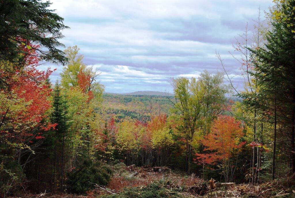 Lot 7 Alpine Ridge Greenville, ME 04441 - Photo 12 of 14 LOt 7 AlpineC
