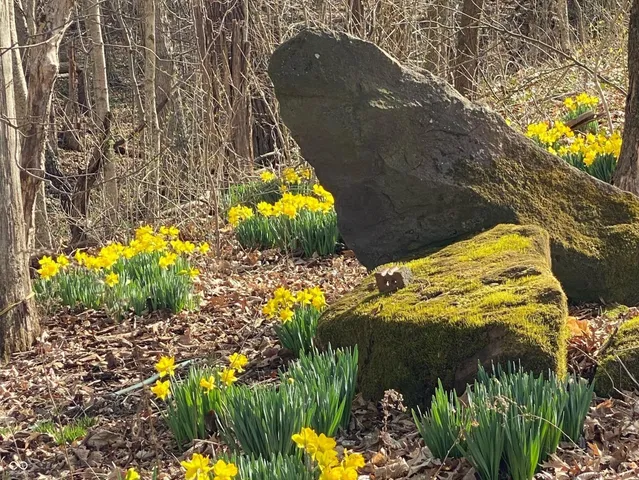 $785,000 | 6070 South 1000th Street East, Brazil, IN 47834