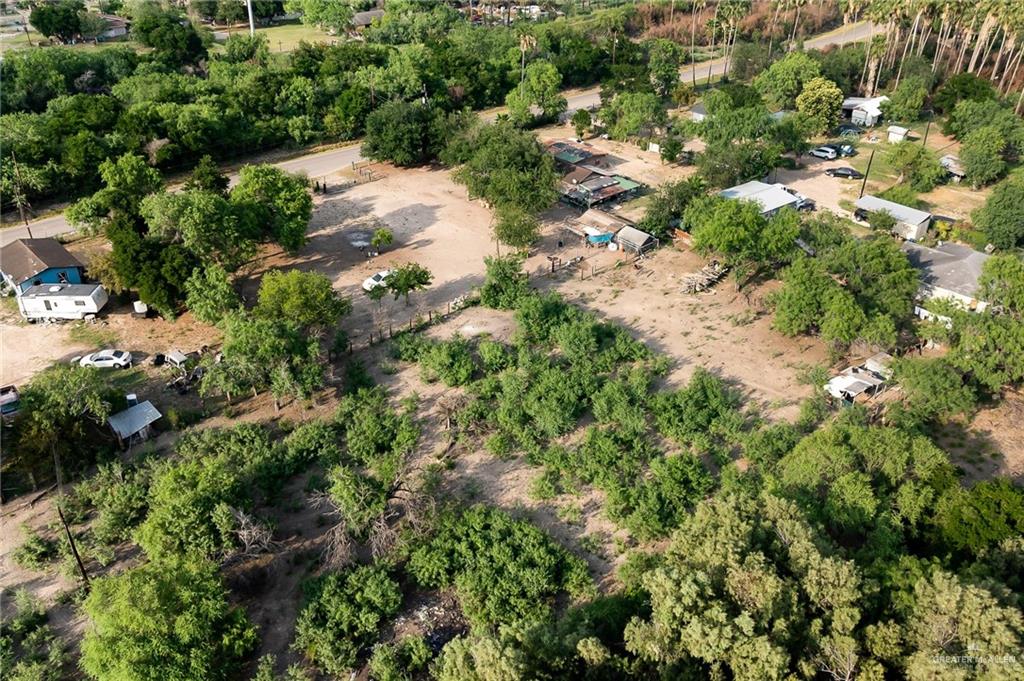 7585 Chihuahua Road Mission, TX 78572 - Photo 5 of 8 a view of a forest with a tree