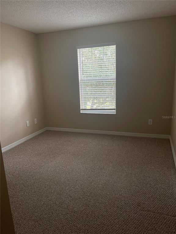 4153 Winding River Way Land O Lakes, FL 34639 - Photo 18 of 24