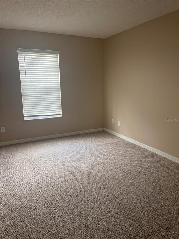 4153 Winding River Way Land O Lakes, FL 34639 - Photo 19 of 24