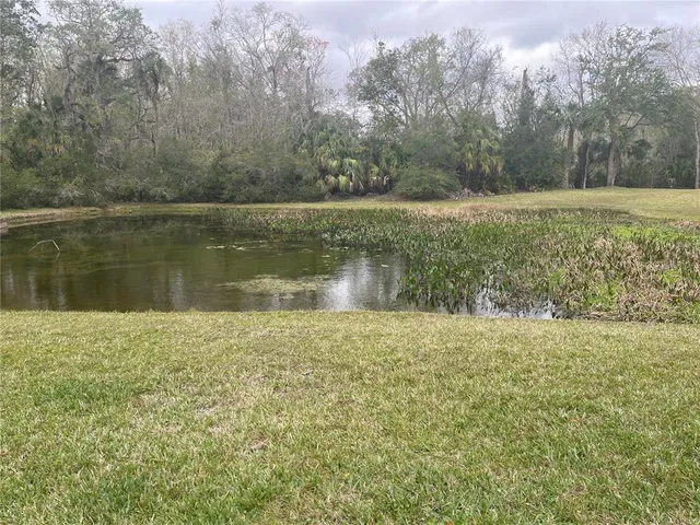 $2,125 | 4153 Winding River Way, Land O Lakes, FL 34639