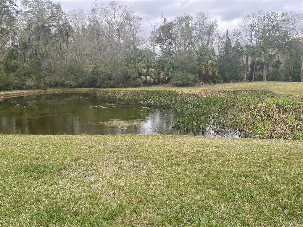 4153 Winding River Way Land O Lakes, FL 34639 - Photo 23 of 24