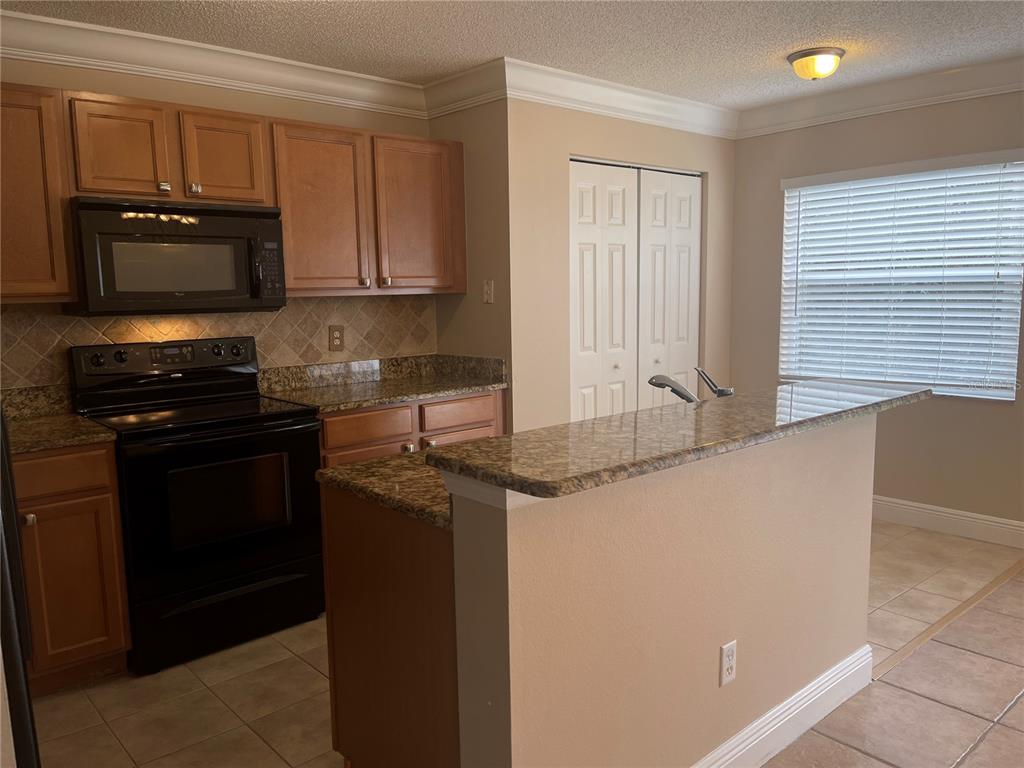 4153 Winding River Way Land O Lakes, FL 34639 - Photo 10 of 24