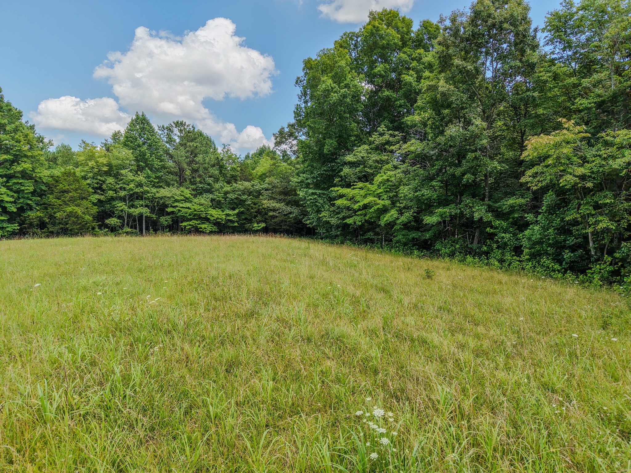 215 Clear Creek Road Leoma, TN 38468 - Photo 5 of 13