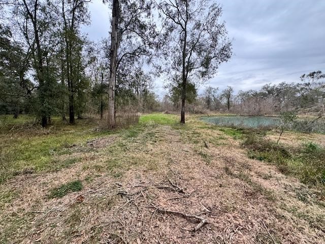 3747 County Road 611 Angleton, TX 77515 - Photo 11 of 21