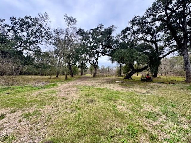 3747 County Road 611 Angleton, TX 77515 - Photo 12 of 21